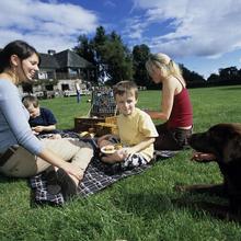 Picnic at the National Park Visitor Centre