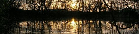 Sunset on pond