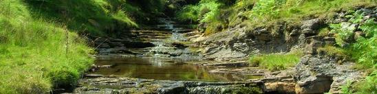 Upland stream