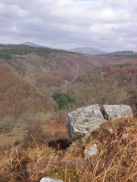 Lliwiau Hydref, Coetiroedd Cwm Mellte Lliwiau Hydref, Coetiroedd Cwm Mellte